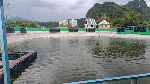 Fishing Hub 888