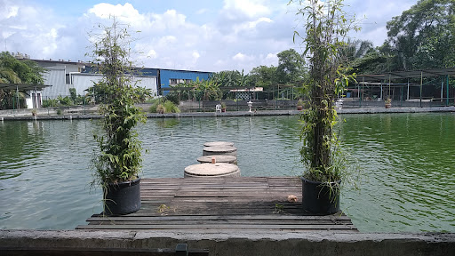 Alam Jaya Fishing
