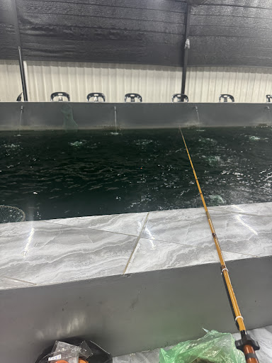 Hobby Kolam Udang Galah
