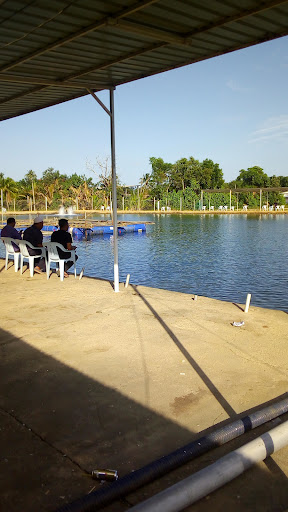 Kolam Memancing Balok