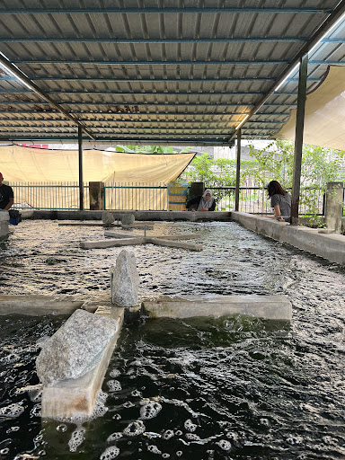 Kolam Pancing Udang & Cafe Janggut