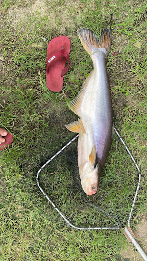 wak ali kolam pancing