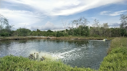 Kolam Udang Faharimah