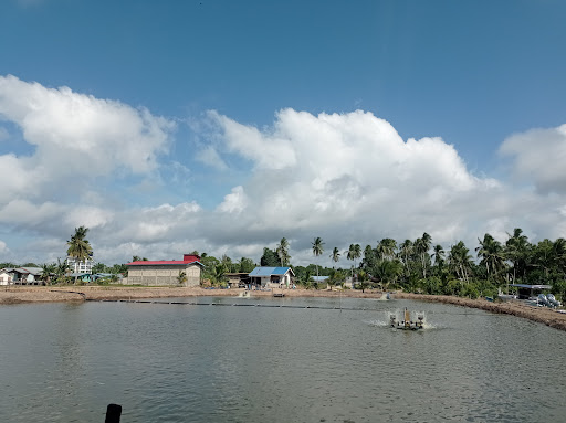 Kolam udang labian