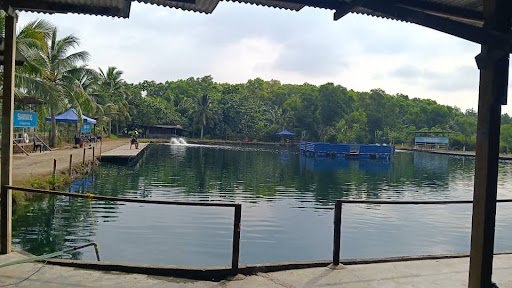 KOLAM PANCING IKAN BAGAN LALANG