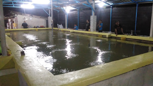 Kolam Pancing Udang Harimau Kg Jijan