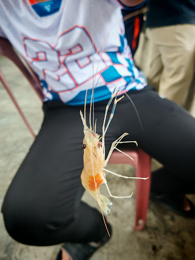 Kolam Pancing Udang Galah Anuar Dowak (Joint Management)