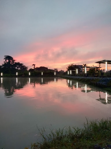 Kolam Pancing Strikes