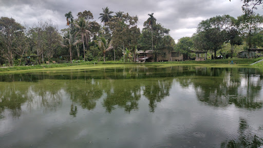 Kolam Pancing Jedok