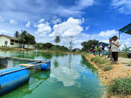 De'Fish Fishing Park