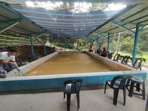 kolam mancing udang galah rembau