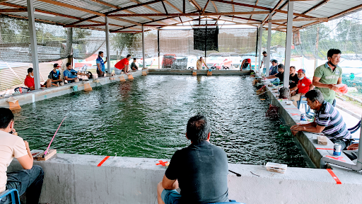 Kolam Pancing Udang Harimau kuala lukut