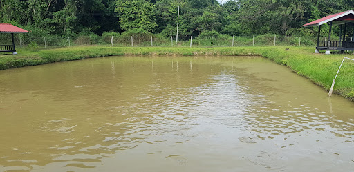 D'Seberang Kolam Patin
