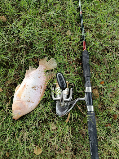 Port mancing udang Galah