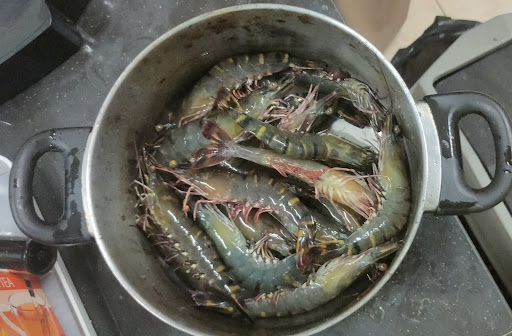 Kolam pancing udang