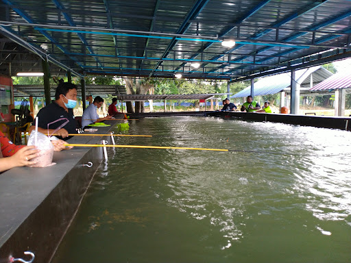 Kolam Memancing A.B.E, Batu Pahat, Perlis