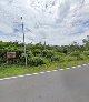 Spot