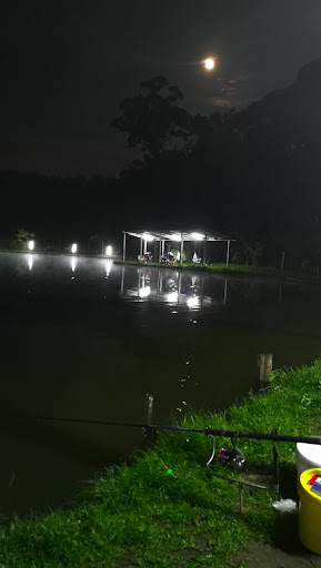 Atap Kolam Ikan Pancing