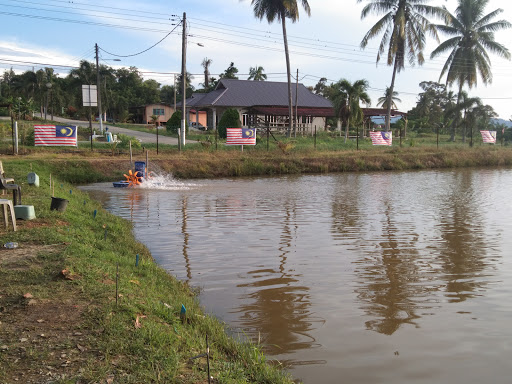 KOLAM PANCING IKAN CHEMPLAK (FISHING)