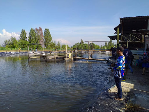 Kolam Pancing Top One