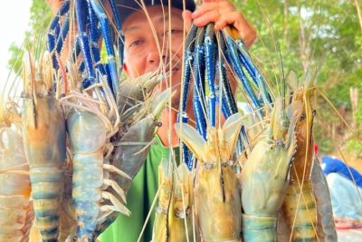galah king prawn fishing centre
