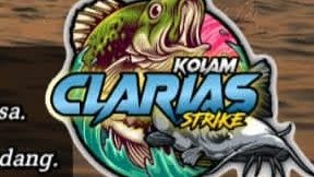kolam clarias strike