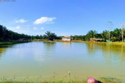 kolam grand strike view sandakan