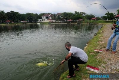 kolam mancing treeunder