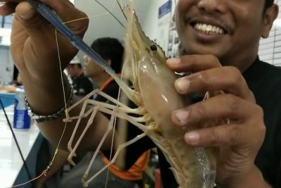 kolam mancing udang fks