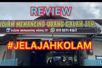 kolam mancing udang galah batu 3 jalan langgar alor star