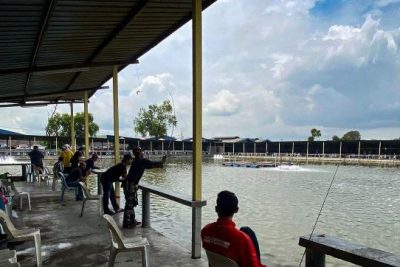 kolam memancing indera sempurna fasa 3