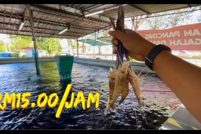 kolam memancing udang dyd