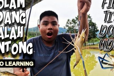 kolam memancing udang galah 6899 pengkalan chepa