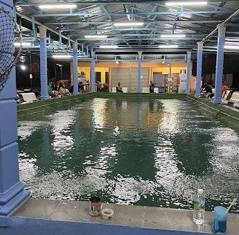 kolam memancing udang galah kampung dusun