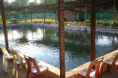 kolam memancing udang galah kg kerawang