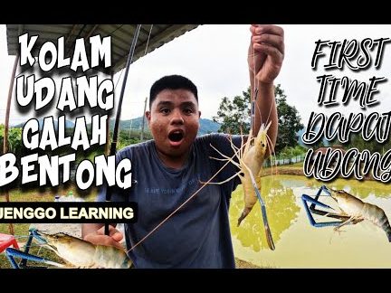 kolam memancing udang galah rnk