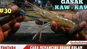 kolam ngail udang galoh telok pasu