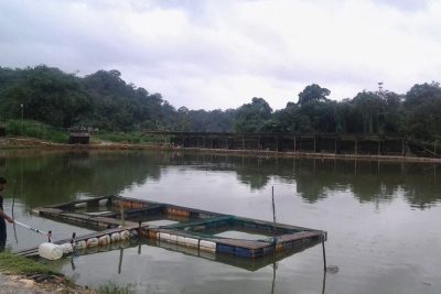 kolam pancing air tawar bukit belimbing