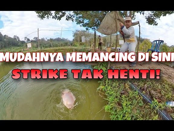 Kolam Pancing Berlauk Fendi Fishing 1 kolam pancing berlauk fendi fishing