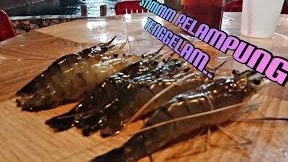 kolam pancing empire raja udang 1