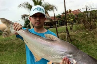 kolam pancing ikan chemplak fishing