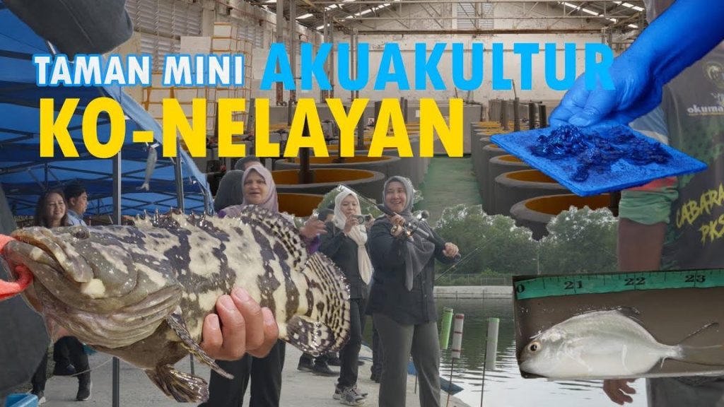 Kolam Pancing Ikan Marin Ko-Nelayan 1 kolam pancing ikan marin ko nelayan