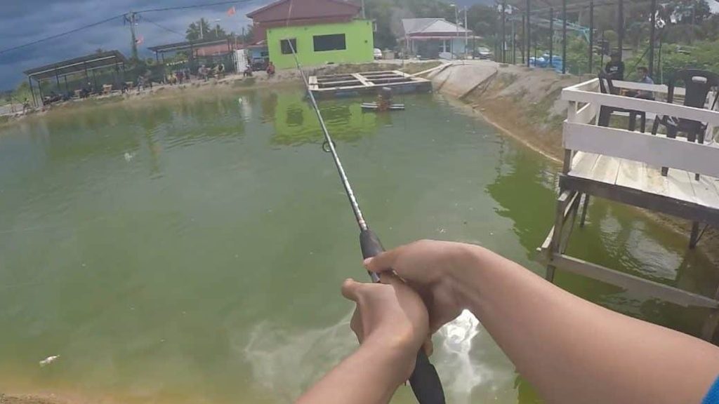 Kolam Pancing Indoor Kubang Rawa 1 kolam pancing indoor kubang rawa