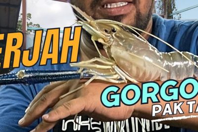 kolam pancing paktam udang galah 1