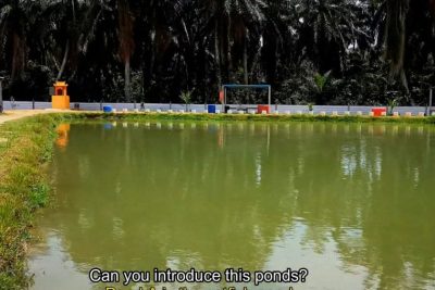 kolam pancing parit seberang