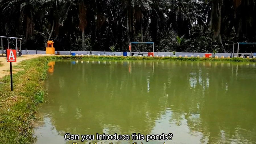 Kolam Pancing Parit Seberang 1 kolam pancing parit seberang