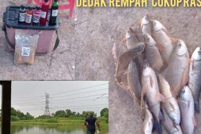 kolam pancing tasik semata indah