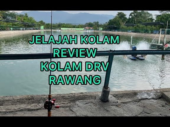 Kolam Pancing Tokwan 1 kolam pancing tokwan