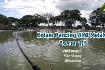 kolam pancing top one 1