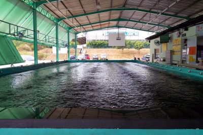 kolam pancing udang family 1